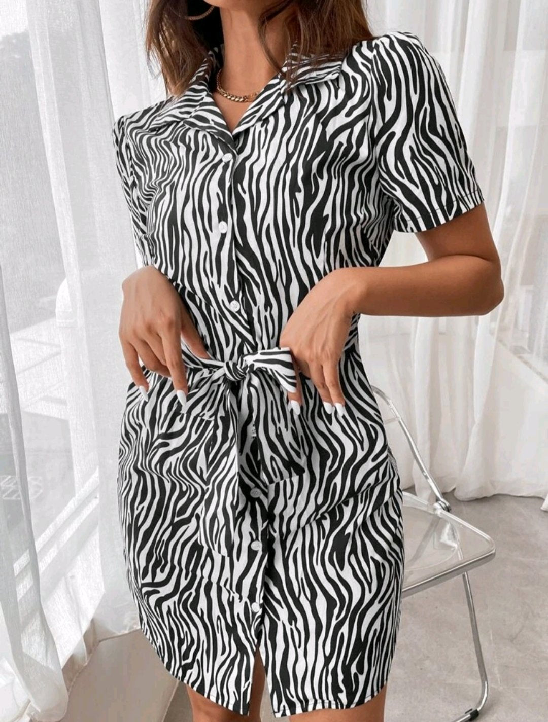 Zebra Stripe Belted Shirt Dress