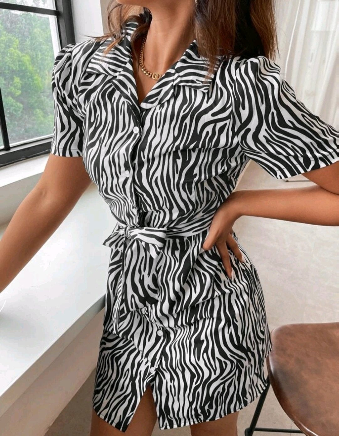 Zebra Stripe Belted Shirt Dress