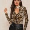 Choker Neck Leopard Print Fitted Top