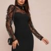 Mock Neck Lace Yoke Bodycon Dress
