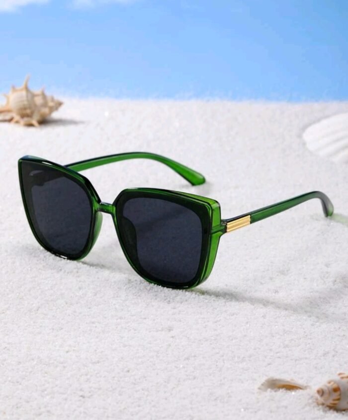 Acrylic Frame Tinted Lens Sunglasses