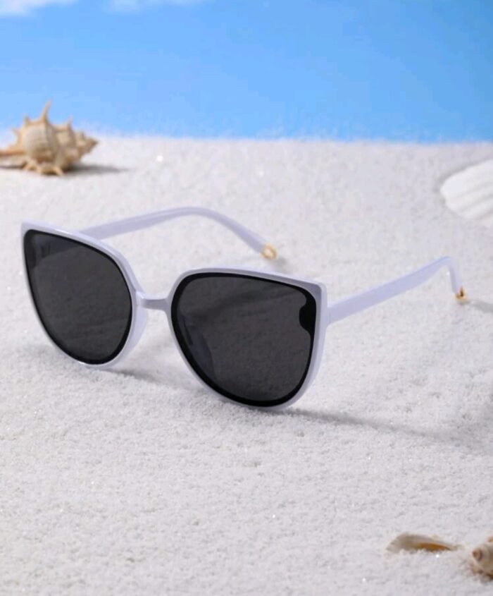 Acrylic Frame Tinted Lens Sunglasses